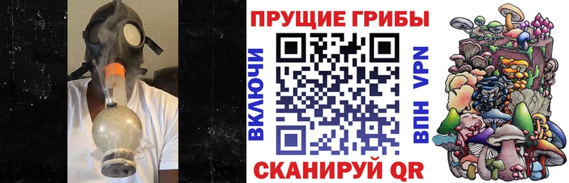 МЕГА как зайти Кстово Галлюциногенные грибы Psilocybine cubensis