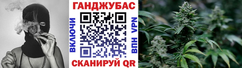 магазин Кстово Каннабис сатива